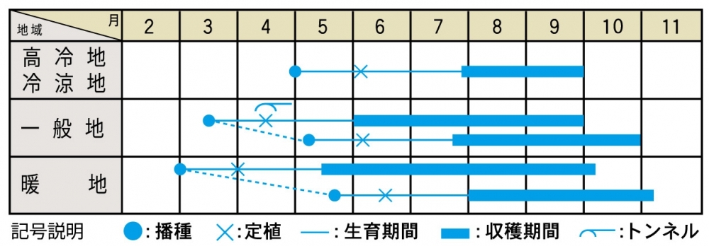 栽培適期表（近畿標準）