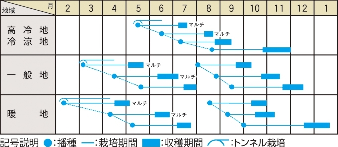 栽培適期表