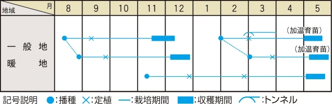 栽培適期表（近畿標準）