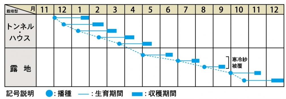 栽培適期表