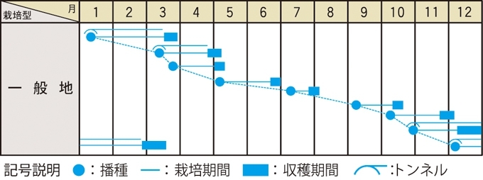 栽培適期表