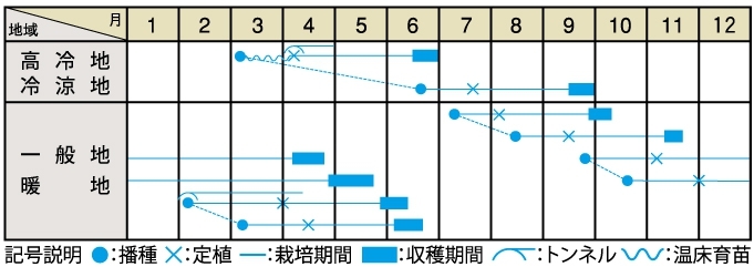 栽培適期表