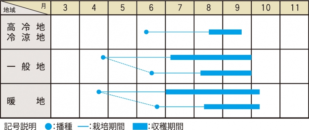 栽培適期表