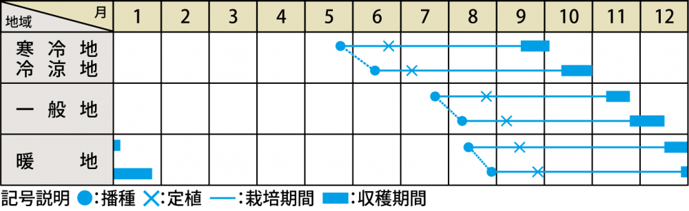栽培適期表