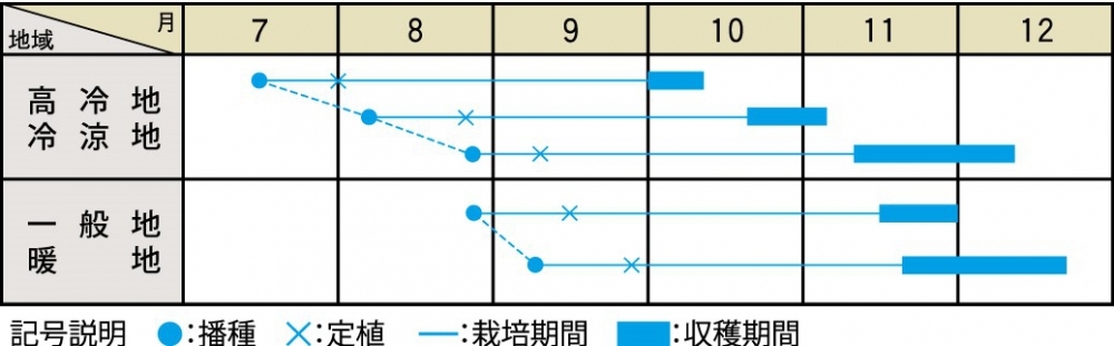 栽培適期表